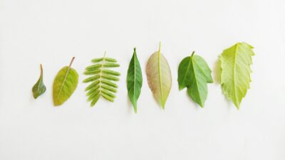 今の20代は結婚したくない？1歳児ワーママの日常